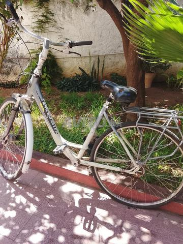 vélo gazelle - 2