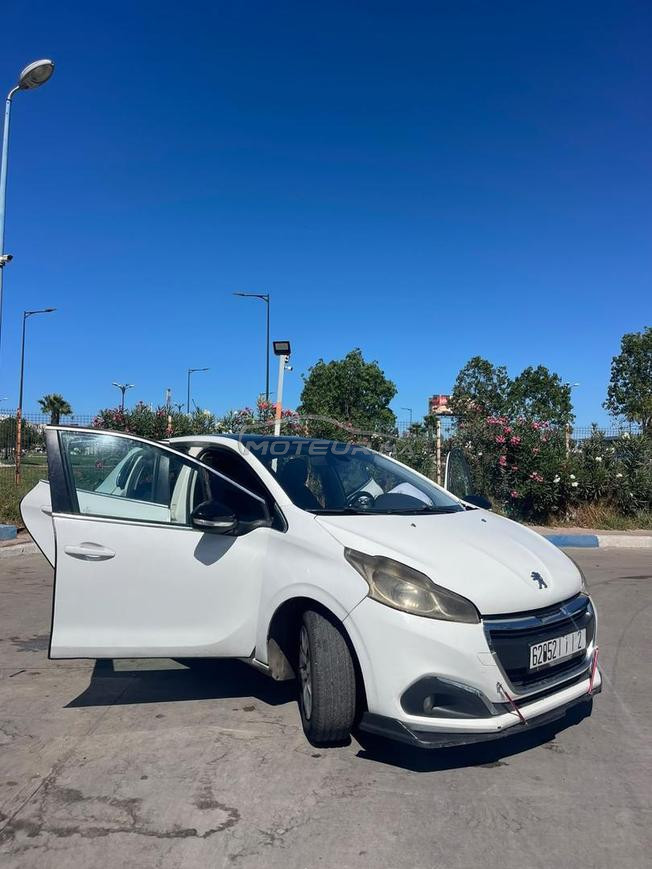 طنجة بوخالف