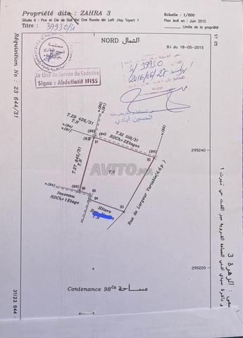 حي تيرت 1 ميراللفت - 2