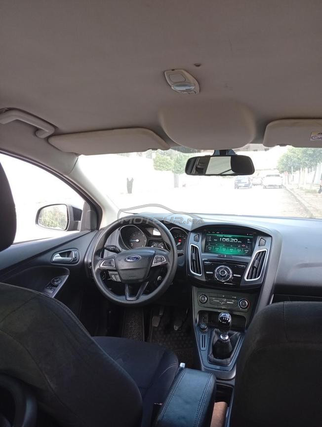 ford focus trend plus