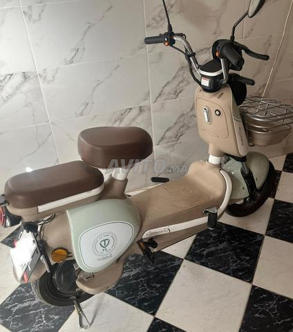 Moto électrique Tailg - 2