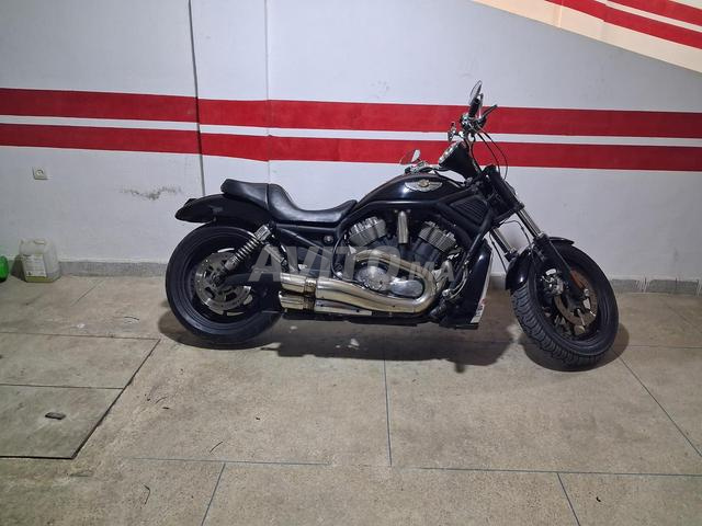 harley davidson v-rod  - 2