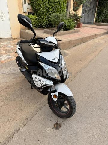 Vélomoteur Gabelli très bon état 1ère main - 2