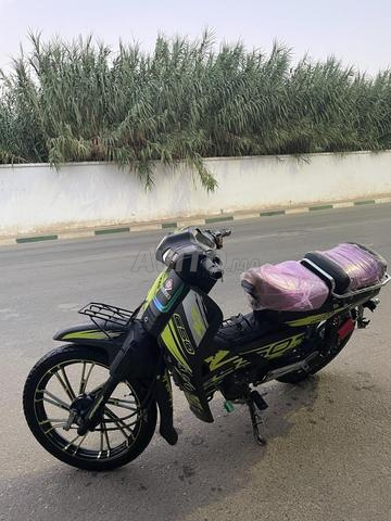 القصر الكبير - 2