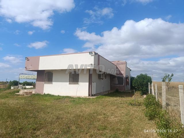 Villa avec piscine titrée 2700 m² à Ain Jaohara