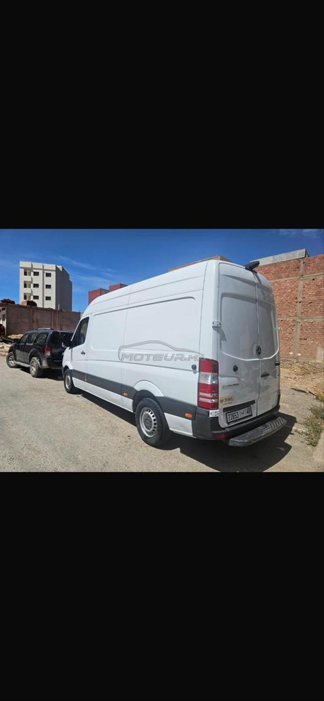 sprinter 516  