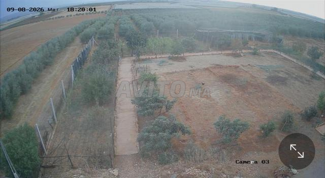 5 hectares équipés à vendre à Meknès, Haj Kaddour, titre foncier - 2
