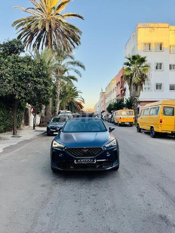 Cupra Formentor 2.0 TDI DSG Cooper Édition diesel - 2