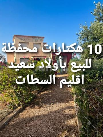 Ferme 🏡 titrée de 10 hectares à Oulad Said, province de Settat