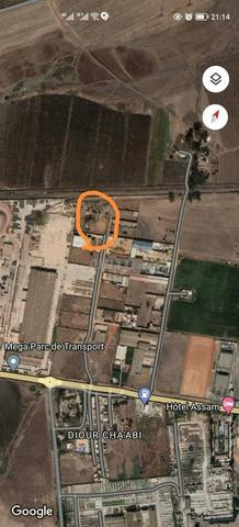 11 600 M² À VENDRE – ASSAM KÉNITRA | TERRAIN TITRÉ