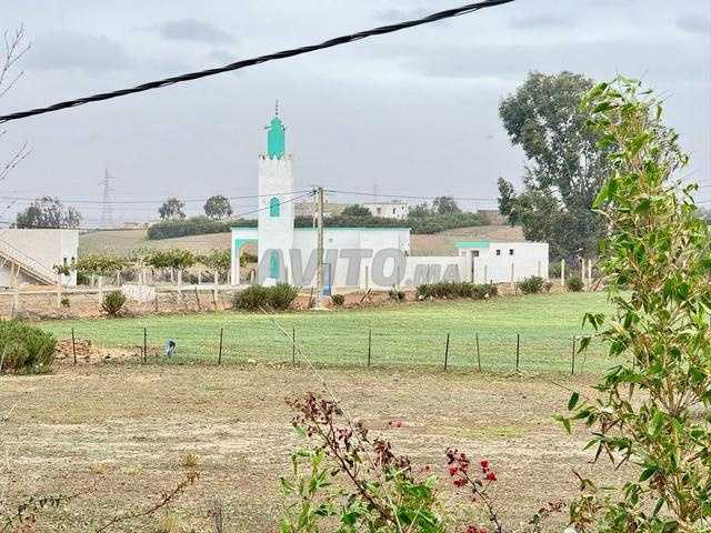 Ferme clôturée avec piscine, écurie et verger.