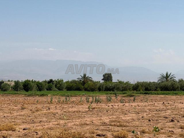 Terrain 18 000 m² – Vue Atlas à 20 km de Marrakech