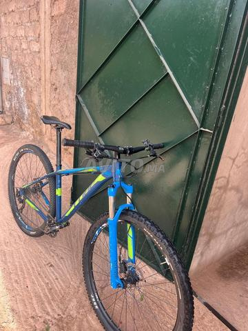 دمنات مراكش - 2