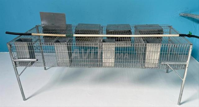 Cage pour lapines - 2