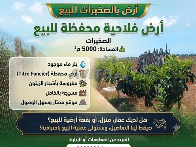 Terrain agricole titré à vendre à Skhirat (clôturé et avec puits)