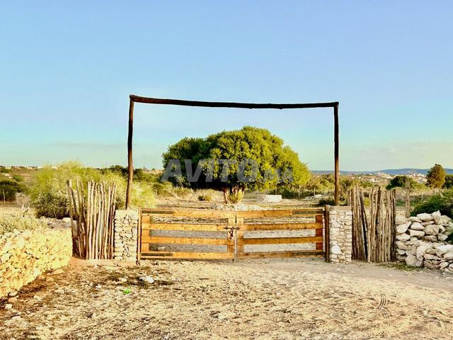 🏡☀️🐴🌿 ÉCORANCH SALOMÉ - SIDI KAOUKI - 2