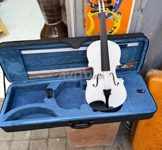 Violon avec ses accessoires