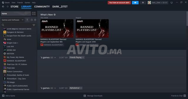 Compte Steam : tout ce qu'il contient, y compris fc 2k gta v - 2