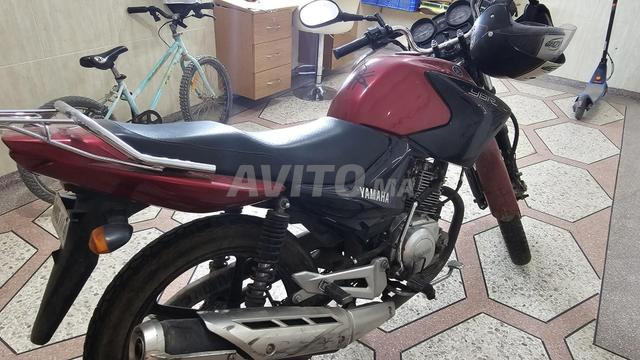 Yamaha YBR 125 - 2