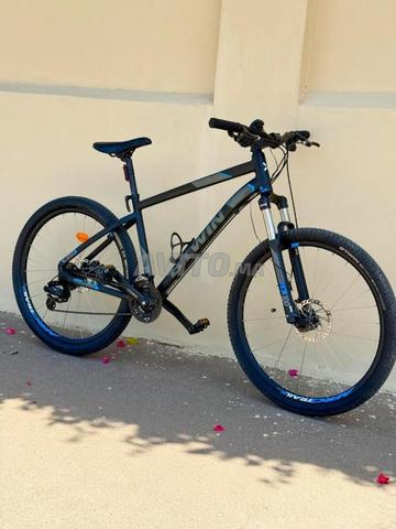 بيت وين روكر رايدر 520 XL - 2