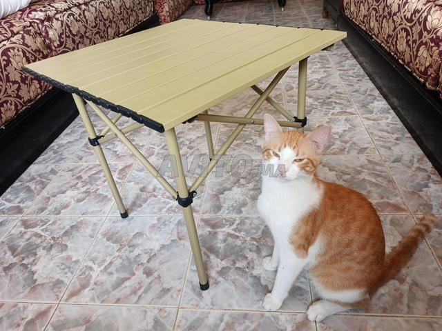Temara Ain Atiq - 2