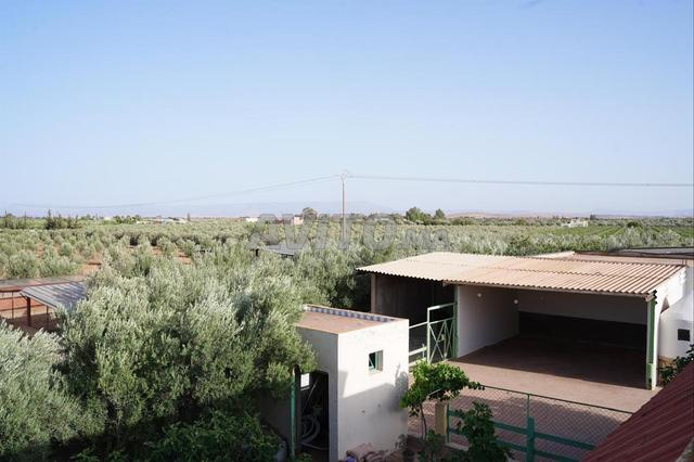 Ferme équipée 4 ha – Oujda - 2