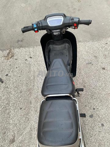 C50 modèle 2025 - 2
