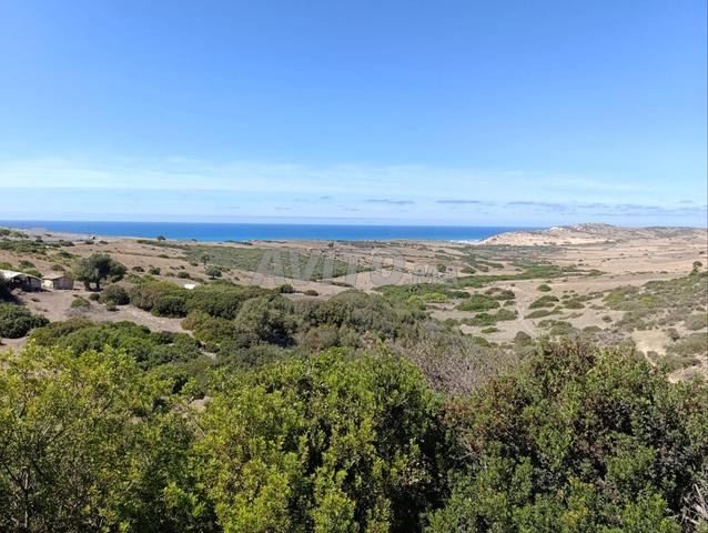 Terrain agricole vu panoramique sur mer - 2