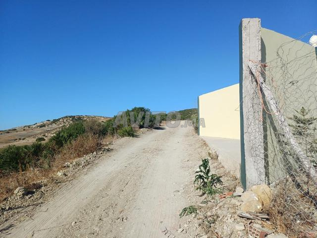 Ferme villa - 2