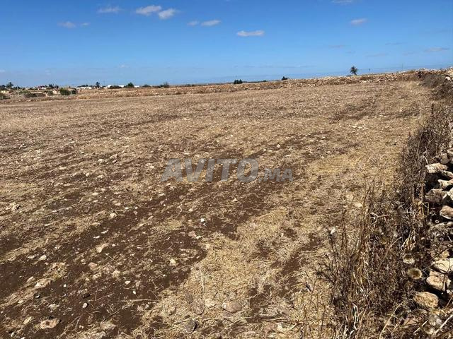 Terrain agricole titre à vendre Ouled Hamdan près d'El Jadida