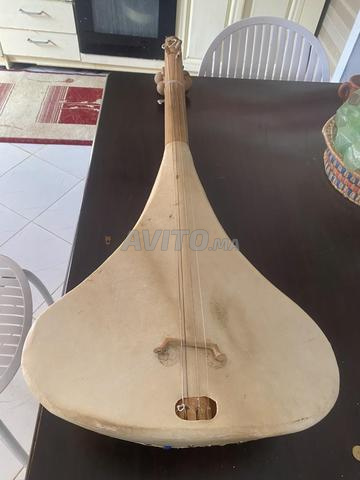 Instrument à cordes fabriqué par un professionnel - 2