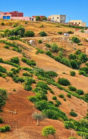 قطعة أرض في AZLA - 2