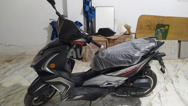Moto de type alfa catégorie TAB43