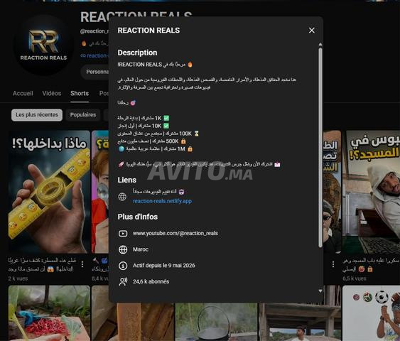 Chaîne YouTube avec 24 600 abonnés réels et un public engagé - 2