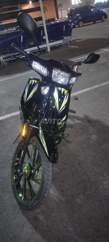 Reef.   c50 - 2