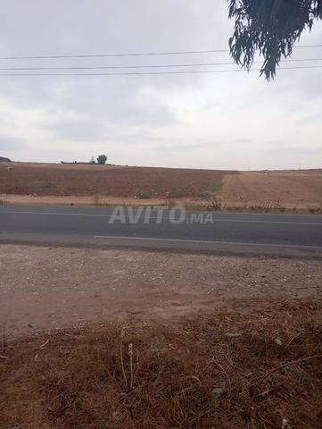 أرض فلاحية للبيع 1 هكتار على الطريق - 2