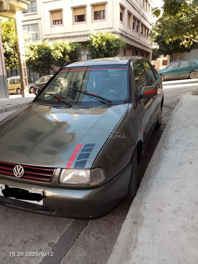 golf polo mazot