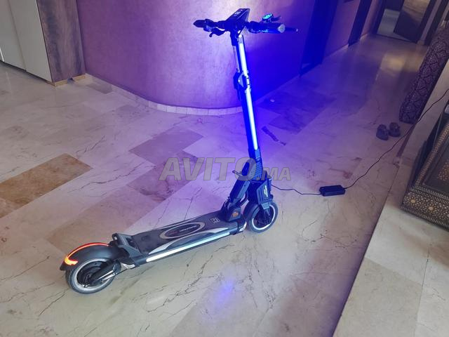 Dualtron Popular Pneus 11 pouces Tubeless Anti Crevaison - 2