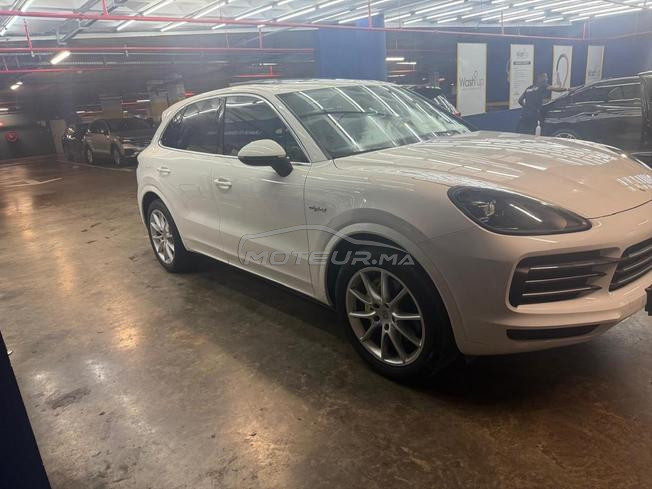 Cayenne 2021 