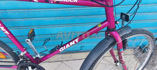 Beau Giant Vtc de France  - 2