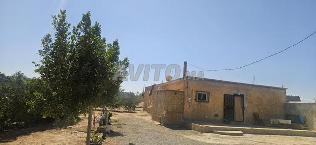 Ferme 2H4000M équipée à côté de TESUNOPOL à Oujda