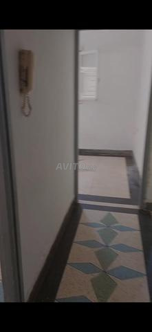 j 5 appartement à louer mensuellement - deux étudiantes recherchées - 2