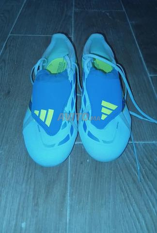 gaudass جديد أصلي - 2
