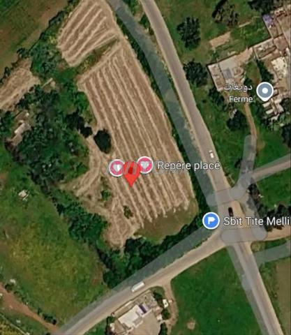 Terrain à vendre 1 ha D2 TIT MELLIL - 2