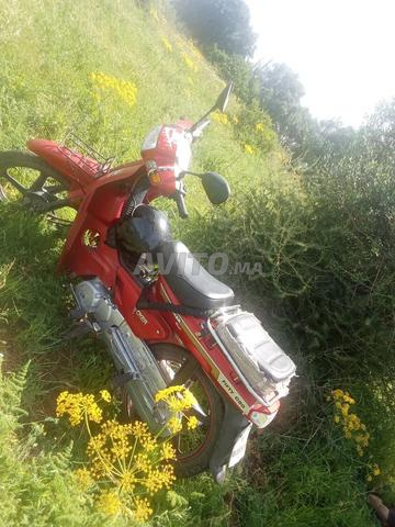 c50 foadggg - 2