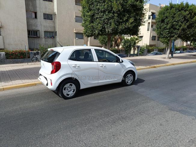Picanto automatique 