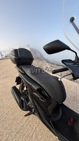 sh هوندا 2026 tft - 2