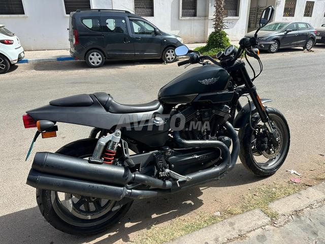 XR1200 HARLEY DAVIDSON - 2
