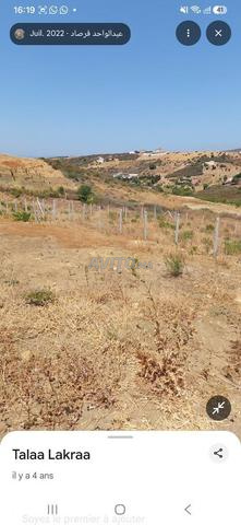 Terrain 559 m² à sidi kankoche, deux façades, tala3 9ra3 - 2