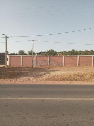 مزرعة ذات سند ملكية تقع على بعد 3 كيلومترات من Settat في Ouled Belahsen